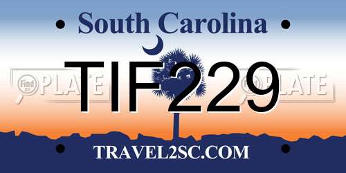 TIF229 South Carolina License Plate