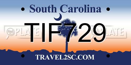 TIF729 South Carolina License Plate