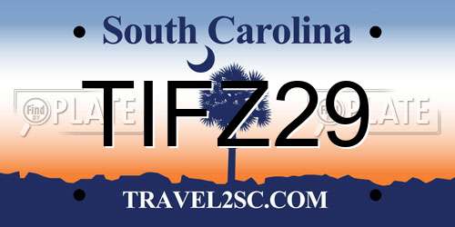 TIFZ29 South Carolina License Plate