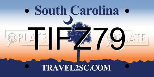 TIFZ79 South Carolina License Plate