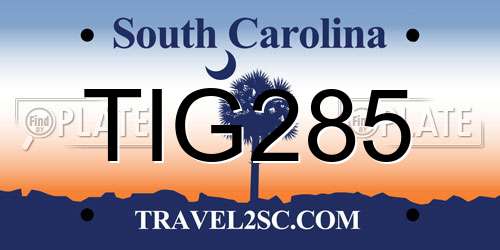 TIG285 South Carolina License Plate