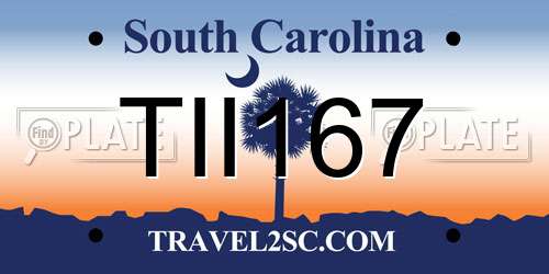 TII167 South Carolina License Plate