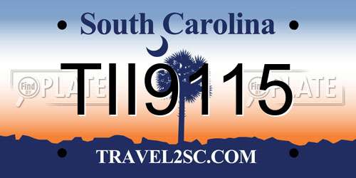 TII9115 South Carolina License Plate