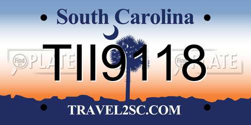 TII9118 South Carolina License Plate