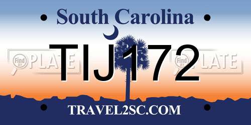 TIJ172 South Carolina License Plate