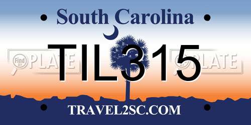 TIL315 South Carolina License Plate
