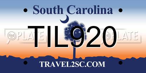 TIL920 South Carolina License Plate
