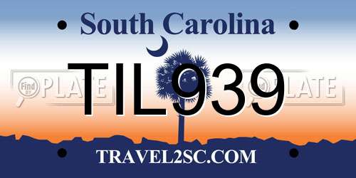 TIL939 South Carolina License Plate