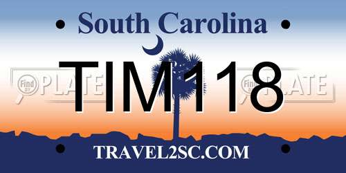 TIM118 South Carolina License Plate
