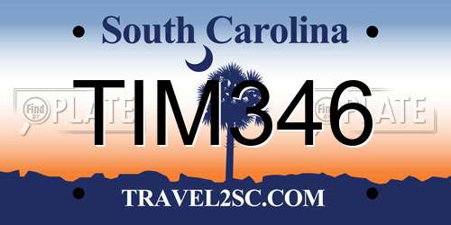 TIM346 South Carolina License Plate