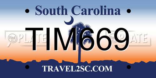 TIM669 South Carolina License Plate