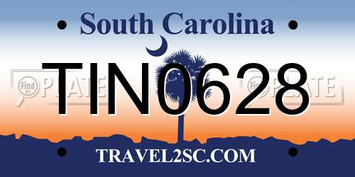 TIN0628 South Carolina License Plate