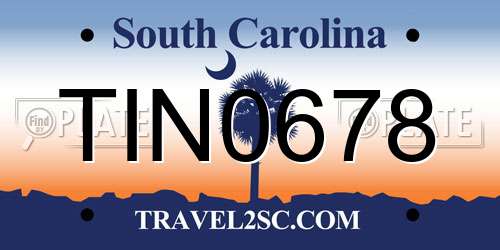 TIN0678 South Carolina License Plate