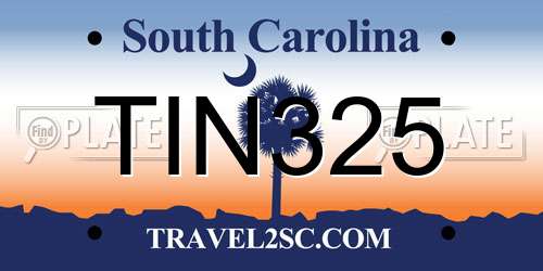 TIN325 South Carolina License Plate