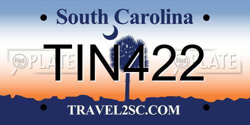 TIN422 South Carolina License Plate