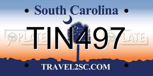 TIN497 South Carolina License Plate