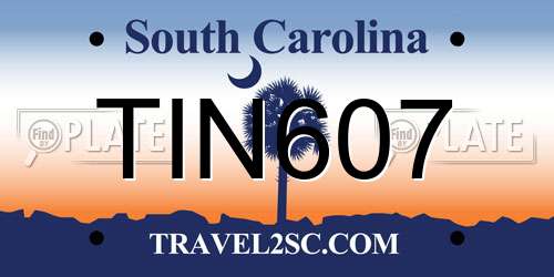 TIN607 South Carolina License Plate