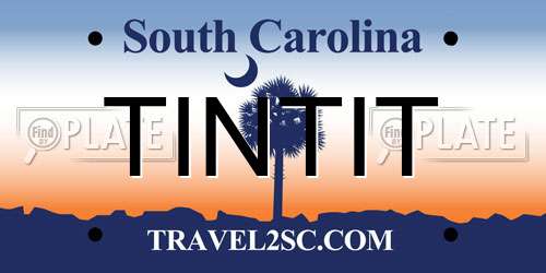 TINTIT South Carolina License Plate