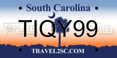 TIQY99 South Carolina License Plate