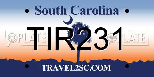 TIR231 South Carolina License Plate