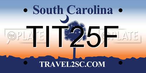 TIT25F South Carolina License Plate