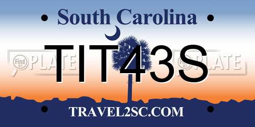 TIT43S South Carolina License Plate