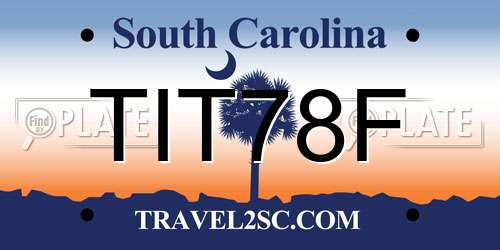 TIT78F South Carolina License Plate