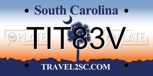TIT83V South Carolina License Plate