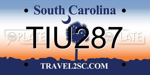 TIU287 South Carolina License Plate
