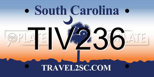 TIV236 South Carolina License Plate