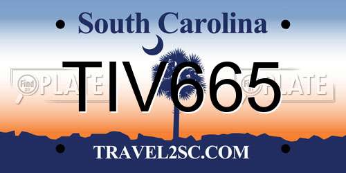 TIV665 South Carolina License Plate