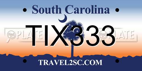 TIX333 South Carolina License Plate