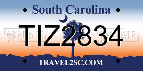 TIZ2834 South Carolina License Plate