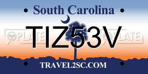 TIZ53V South Carolina License Plate
