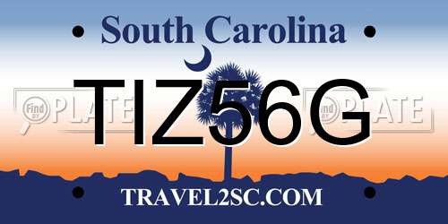 TIZ56G South Carolina License Plate