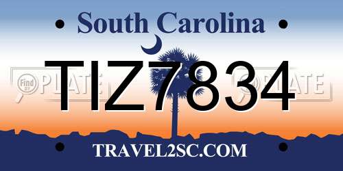TIZ7834 South Carolina License Plate