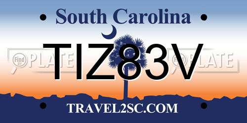 TIZ83V South Carolina License Plate