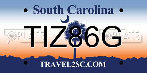 TIZ86G South Carolina License Plate
