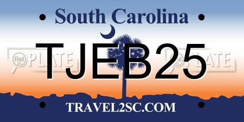 TJEB25 South Carolina License Plate