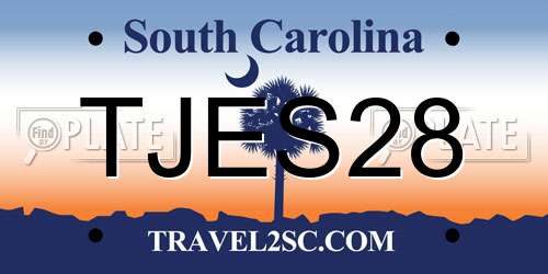 TJES28 South Carolina License Plate
