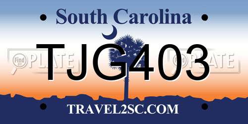 TJG403 South Carolina License Plate