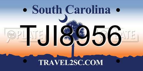 TJI8956 South Carolina License Plate