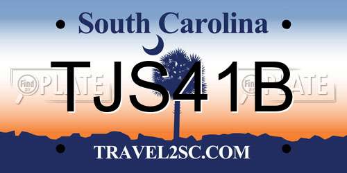 TJS41B South Carolina License Plate