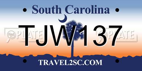 TJW137 South Carolina License Plate