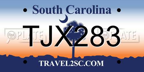 TJX283 South Carolina License Plate