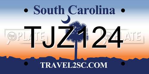 TJZ124 South Carolina License Plate