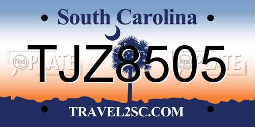 TJZ8505 South Carolina License Plate