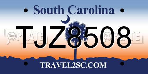 TJZ8508 South Carolina License Plate