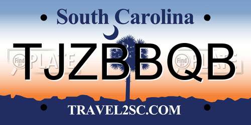 TJZBBQB South Carolina License Plate