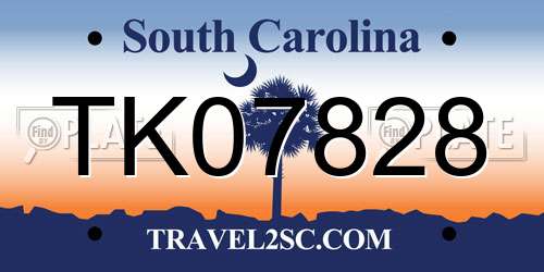 TK07828 South Carolina License Plate